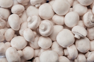 champignons-frais-vrac-3kg-3612kg